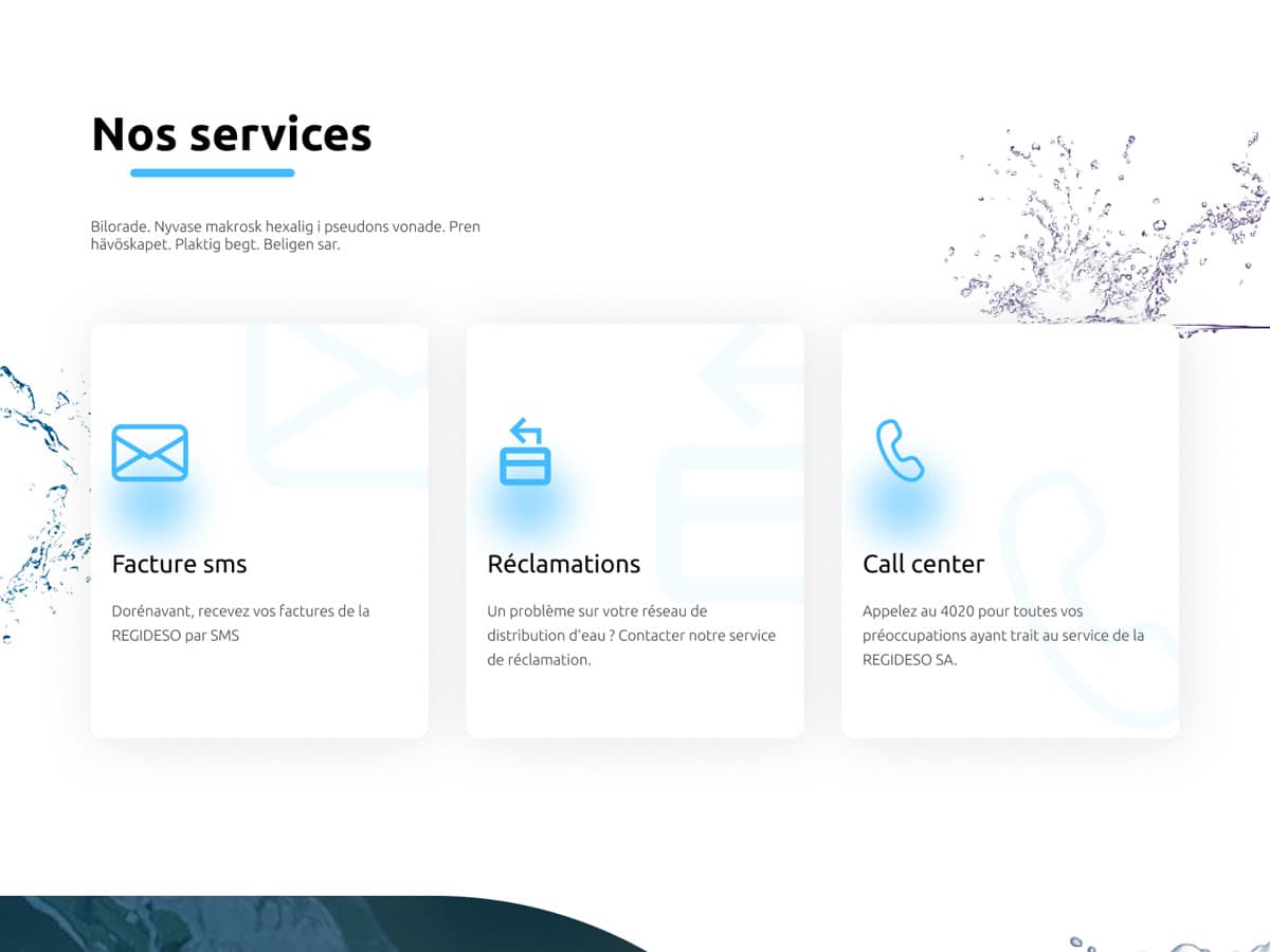 Services: SMS bills, complaints, call centre